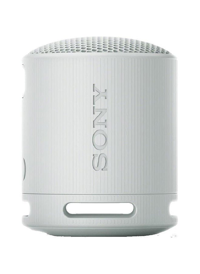 سوني Portable Wireless Speaker SRS-XB100/HX Light Grey - Image 2