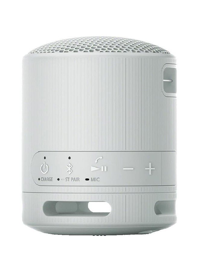 سوني Portable Wireless Speaker SRS-XB100/HX Light Grey - Image 4