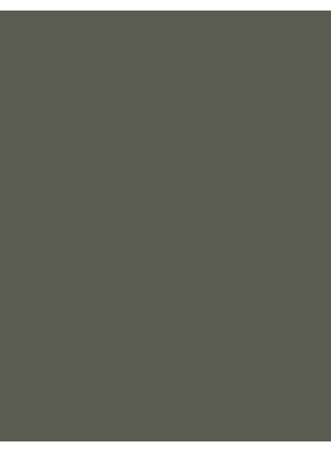 flormar Baked Eyeshadow – 007 Olive Glam – High Pigment, Pearlescent Shimmer, Blendable, Long-Wear, Matte Finish Olive Glam - Image 4