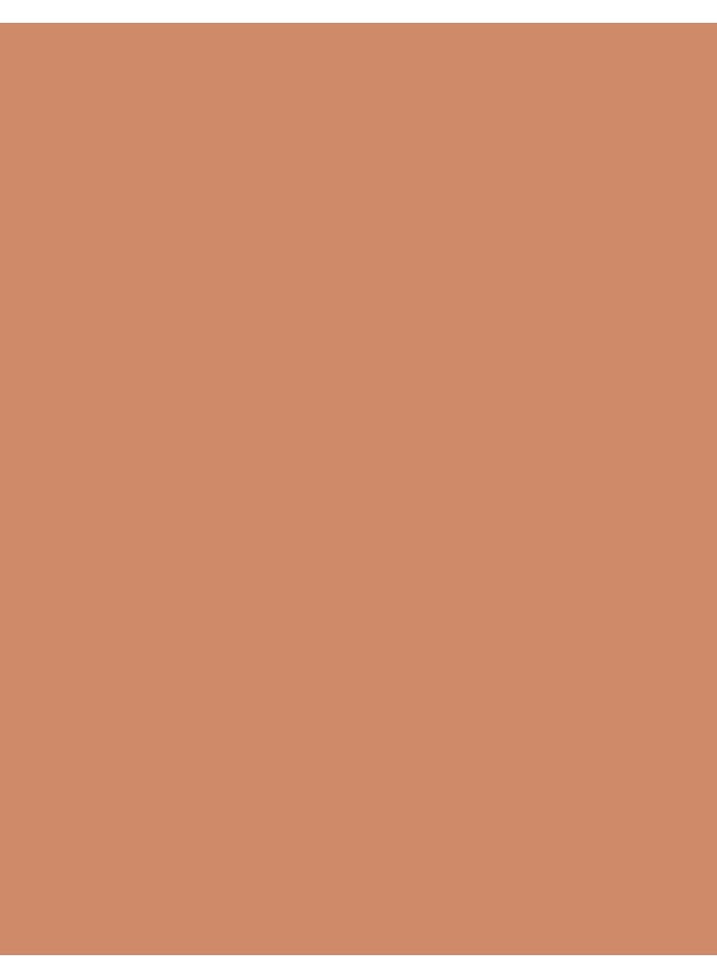 flormar NP Mono Eyeshadow - 012 Bronze Glares - Image 4
