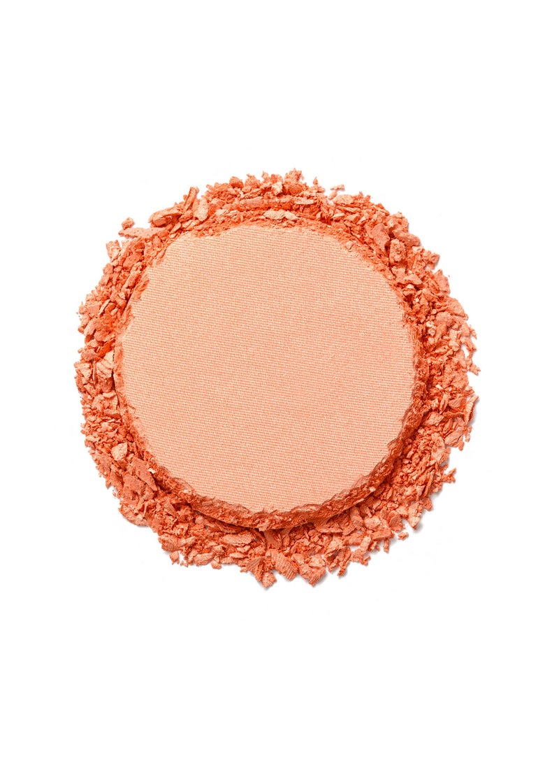 فلورمار أحمر الخدود الكلاسيكي F/M NP - 101 - Image 3