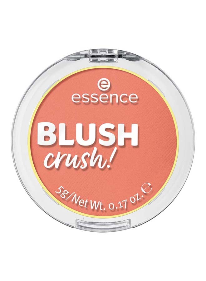 Blush Crush! | 80 Warm Copper Powder Blusher | Silky Blendable Matte Finish | Long Lasting Natural Glow | Velvety Soft Texture | Buildable Color | Suitable for All Skin Tones | 5g Warm Copper 80