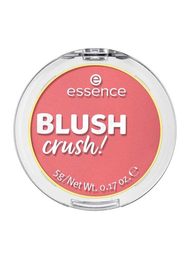 Blush Crush! Blush | Shade 30 Cool Berry | Highly Pigmented Powder Blusher | Silky Soft & Buildable Texture | Vegan Oil-Free Perfume-Free Alcohol-Free | Matte & Shimmer Finish | 5g Cool Berry 30