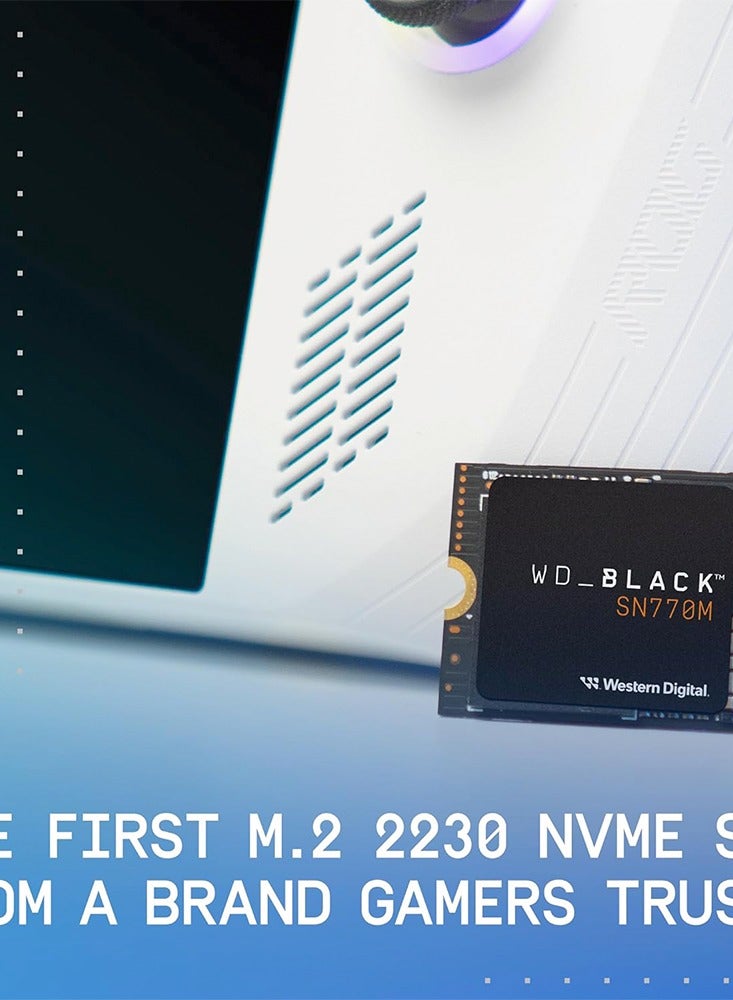 دبليو دي أسود SN770M NVMe M، 2 SSD  - Image 3