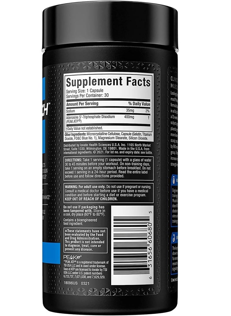MuscleTech Muscle Builder, Muscle Building Supplements For Men & Women 30 Capsules  - Image 2