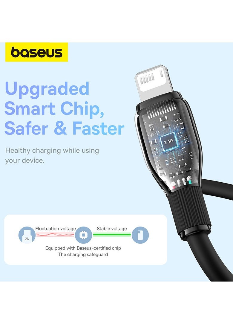 iPhone Lightning Cable Fast Charging (2m) For iPhone 14, Pro, Pro Max/iPhone 13, Pro, Pro Max/iPhone 12, Pro, Pro Max/iPhone 11, Pro, Pro Max/iPhone XS MAX/XR/XS/X/8 Plus/8, iPad Mini/Pro Black