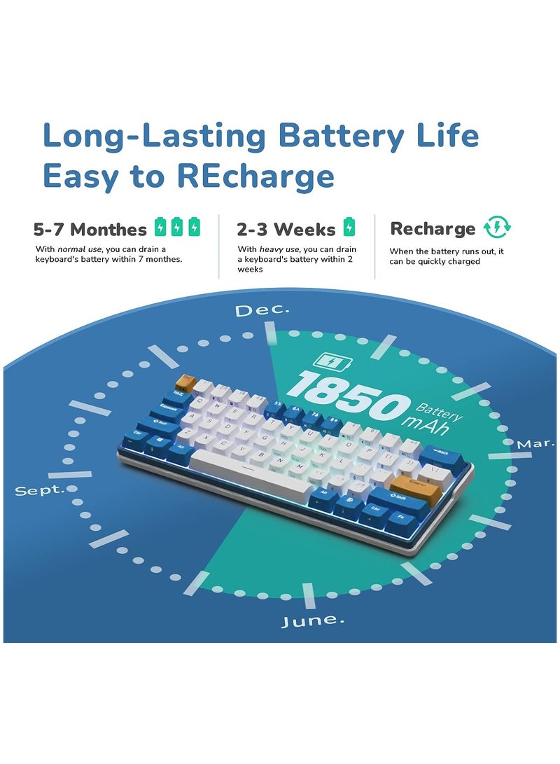 Royal Kludge - RK61 Plus Tri - Mode Wireless Mechanical Keyboard, Bluetooth/2.4G/Wired RGB Gaming Keyboard, 60% Hot Swappable Computer PC Keyboards with USB Hub, Silence Linear Sky Cyan Switches - Image 1