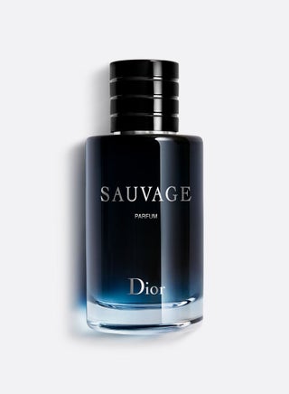 Sauvage Perfume 100ml - pnsku/N70087807V/45/_/1719466476/12b587a3-ec81-4a4a-a2b1-0a63ca94c6b1
