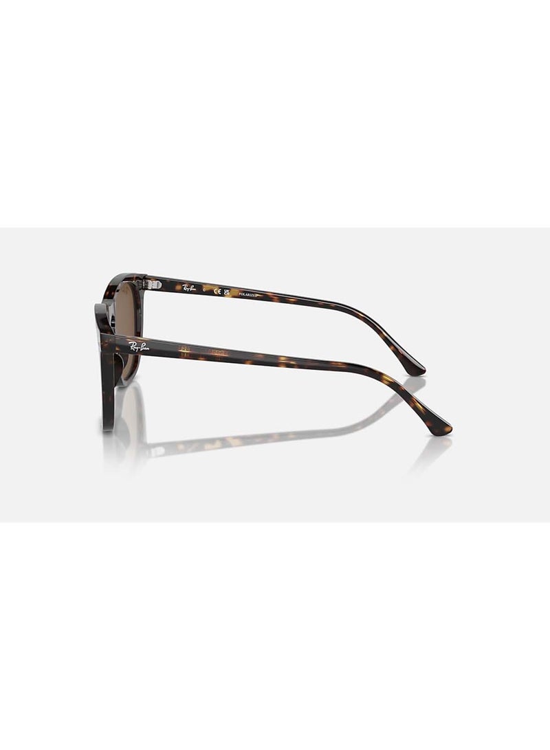 Unisex Square Shape Sunglasses - RB2210F 902/57 53 - Lens Size: 53 Mm - Havana