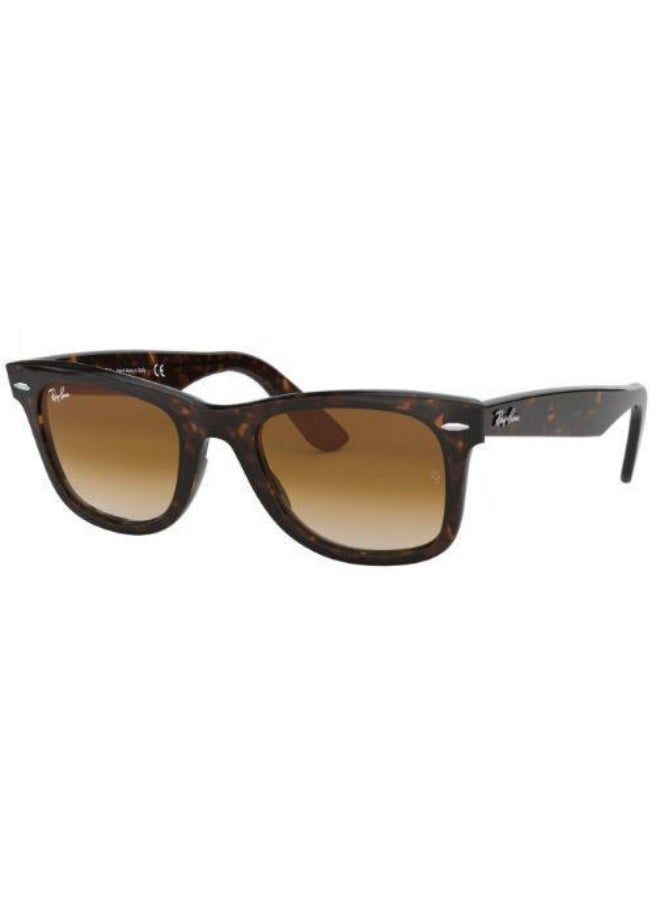 Ray-Ban Men's UV Protection  Sunglasses RB-2140-50-902/51 - Brown  - Image 1