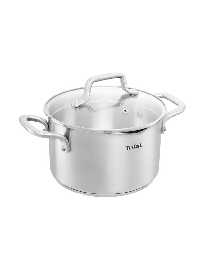 تيفال وعاء طهي دويتو من الفولاذ المقاوم للصدأ - مع غطاء زجاجي فضي 28 سم
