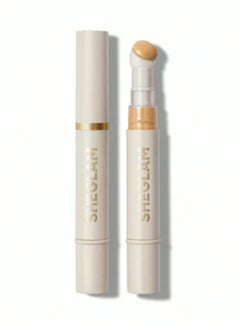 Complexion Boost Concealer Shell