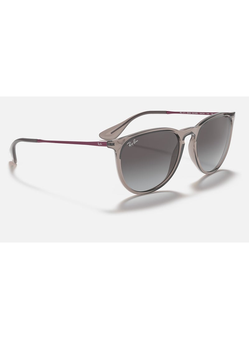 Ray-Ban Unisex Nylon Sunglasses RB4171 ERIKA 6513/8G 54 - Lens Size: 54 Mm - Polished Transparent Grey - Image 3