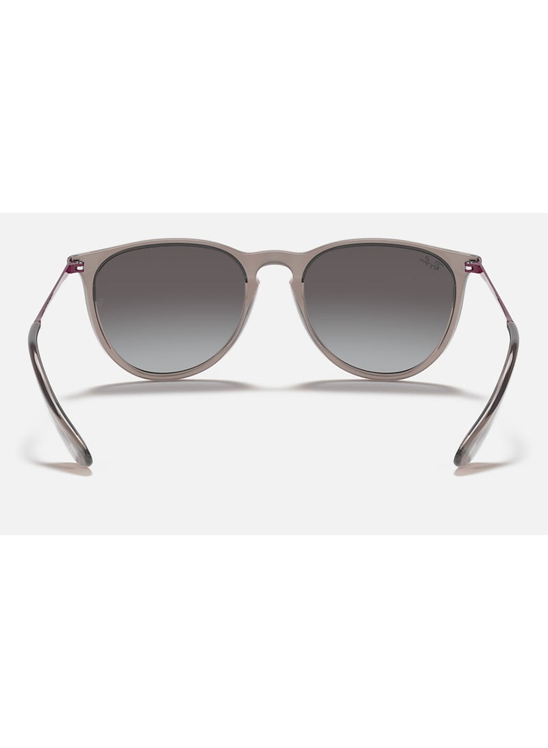 Ray-Ban Unisex Nylon Sunglasses RB4171 ERIKA 6513/8G 54 - Lens Size: 54 Mm - Polished Transparent Grey - Image 5