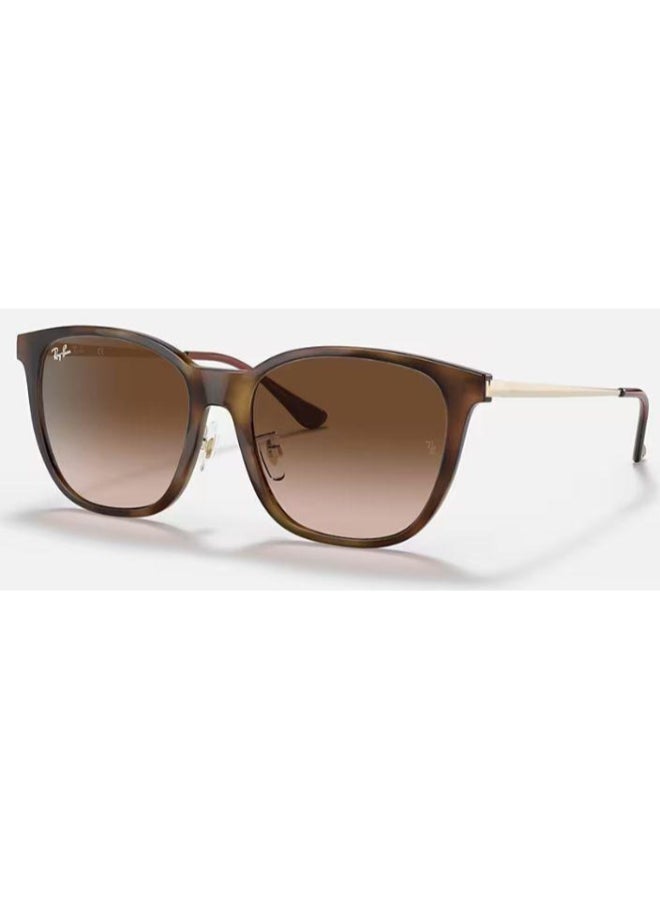 Ray-Ban Unisex UV Protection Cat Eye Shape Sunglasses RB-4333D-55-710/13 - Brown