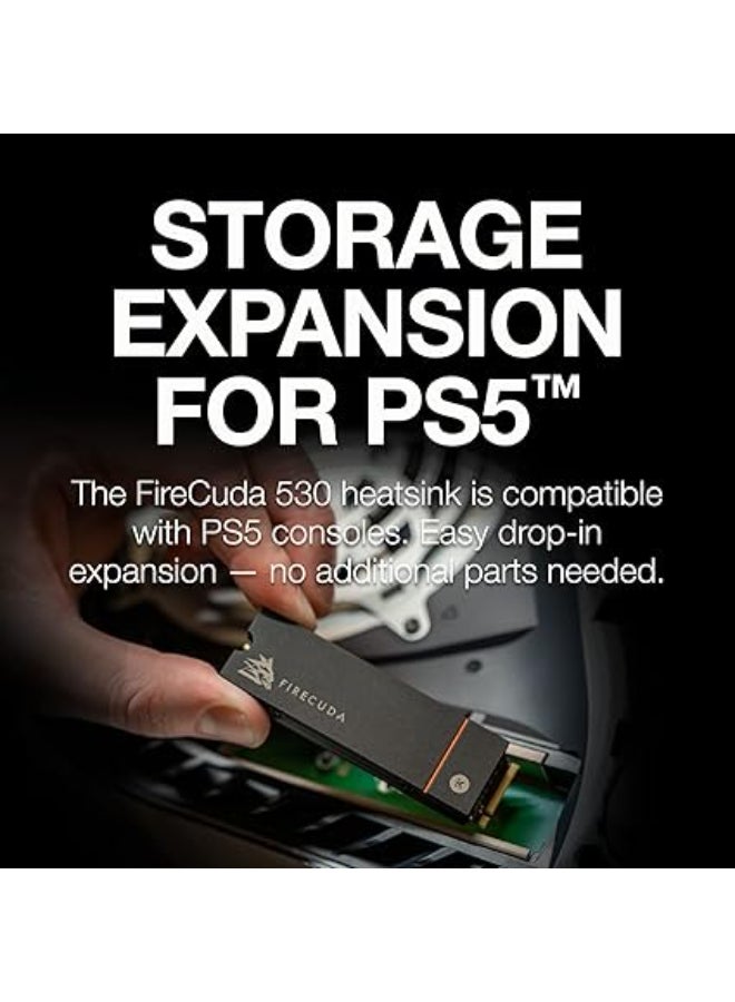 Seagate FireCuda 530R NVMe SSD 2TB, voor PS5/PC, Heatsink, Refresh, M.2 PCIe Gen4 ×4 NVMe 1.4, 7.300 MB/s, 3D-TLC-NAND, 640TBW, Data Rescue Service (ZP2000GM3A073) 2 TB  - Image 2
