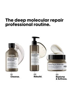 Absolut Repair Molecular Mask for Very Damaged Hair  250ml - pnsku/N70093732V/45/_/1727788414/a6668a61-9edc-4d05-93e6-42e07f4e79ef