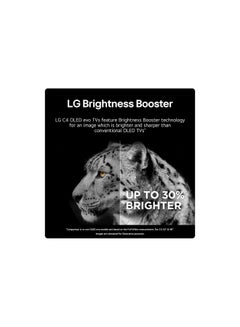 LG 48 inch 4K Smart TV OLED 120Hz OLED48C46LA Black  - Image 4