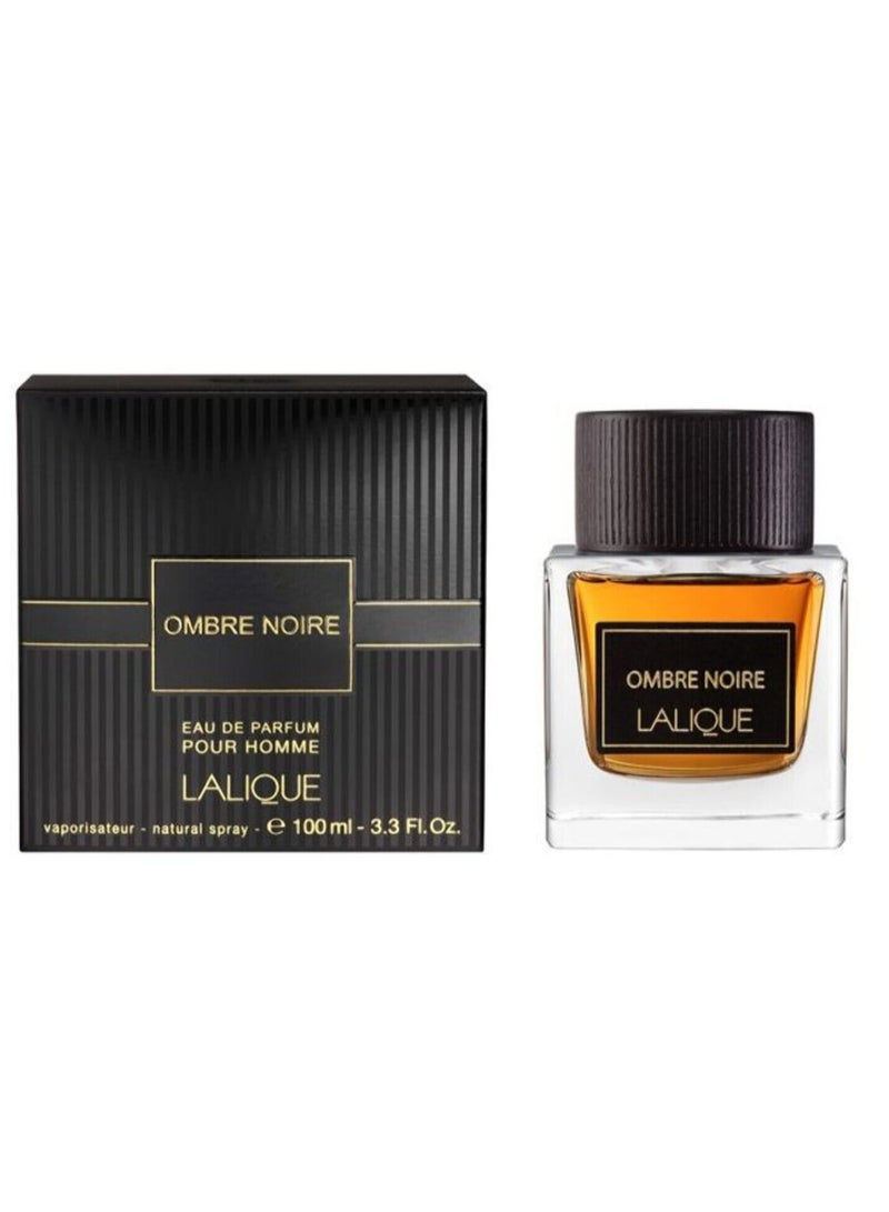 Ombre Noir EDP 100ml - pnsku/N70097291V/45/_/1722423742/d9e89215-8d74-49a0-9197-9046a8a4eb51