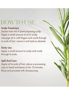 MIELLE Pack Of 2, Rosemary Mint Scalp And Hair Strengthening Oil - 59ml  - Image 5
