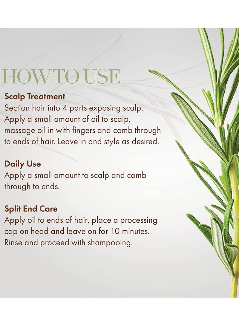 MIELLE Pack Of 2, Rosemary Mint Scalp And Hair Strengthening Oil - 59ml  - Image 5
