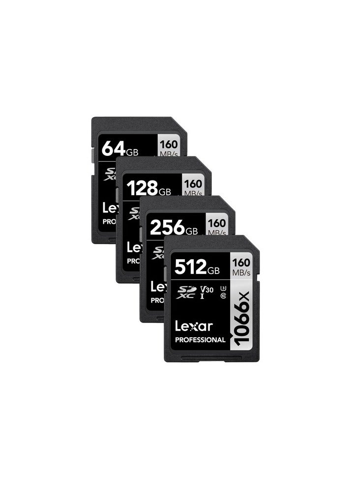 Lexar 512GB Professional 1066x UHS-I SDXC Memory Card (SILVER Series) 512 GB - Image 5