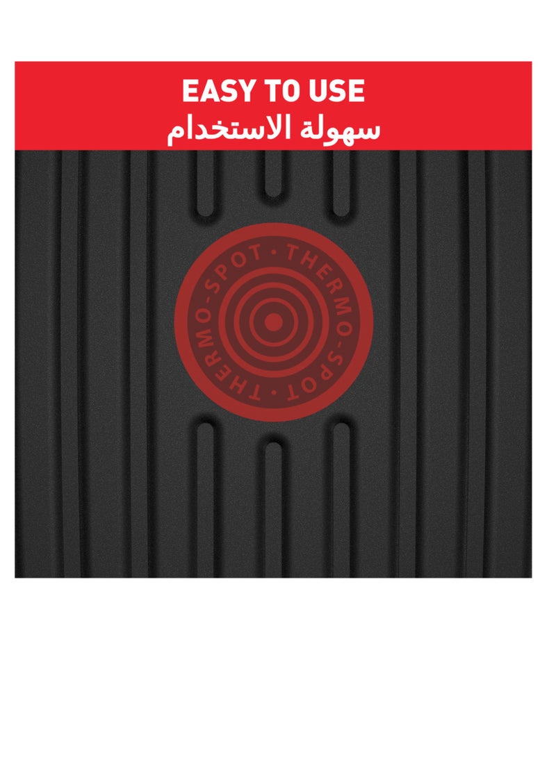تيفال بييرايد 3 في 1 | 10 أشخاص | 3 وظائف | راكليت | شواية/بلانشا | طلاء غير لاصق | تخزين سهل | ضمان لمدة عامين |  - Image 4