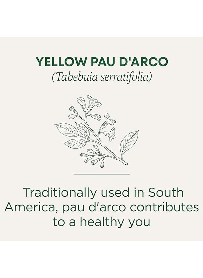 Traditional Medicinals Yellow Pau D'Arco Tea Bags Sweetly Floral, Earthy And Smooth Promotes Everyday Wellness Herbal Supplement 16 Tea Bags 24G  - Image 4