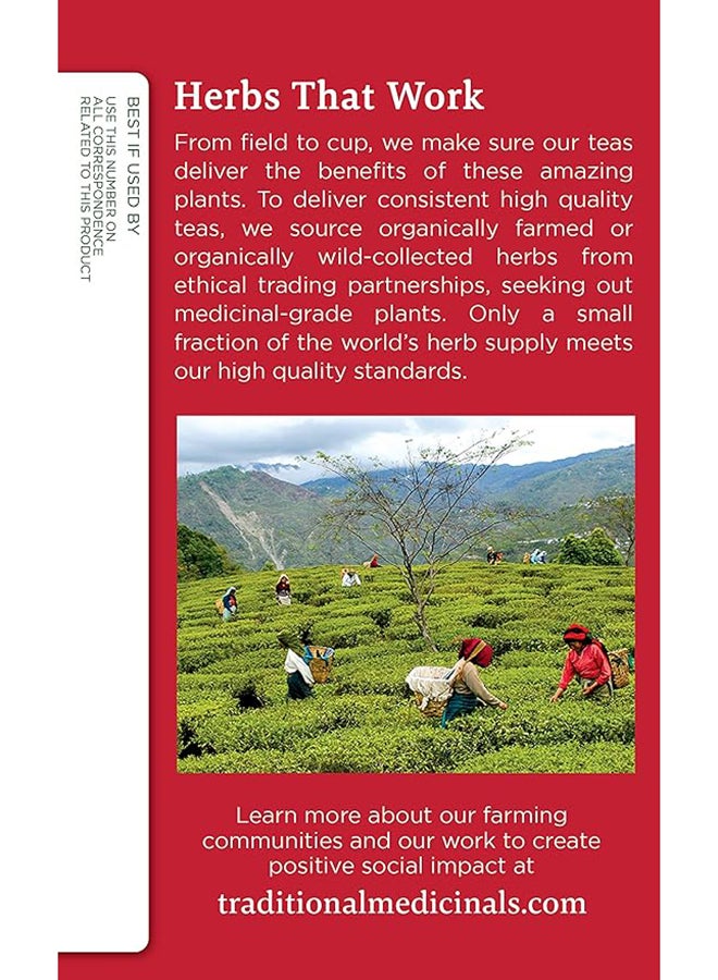 Traditional Medicinals Organic Echinacea Plus Tea Bags Original With Spearmint Promotes Immune Function Caffeine Free 16 Tea Bags 24G  - Image 4