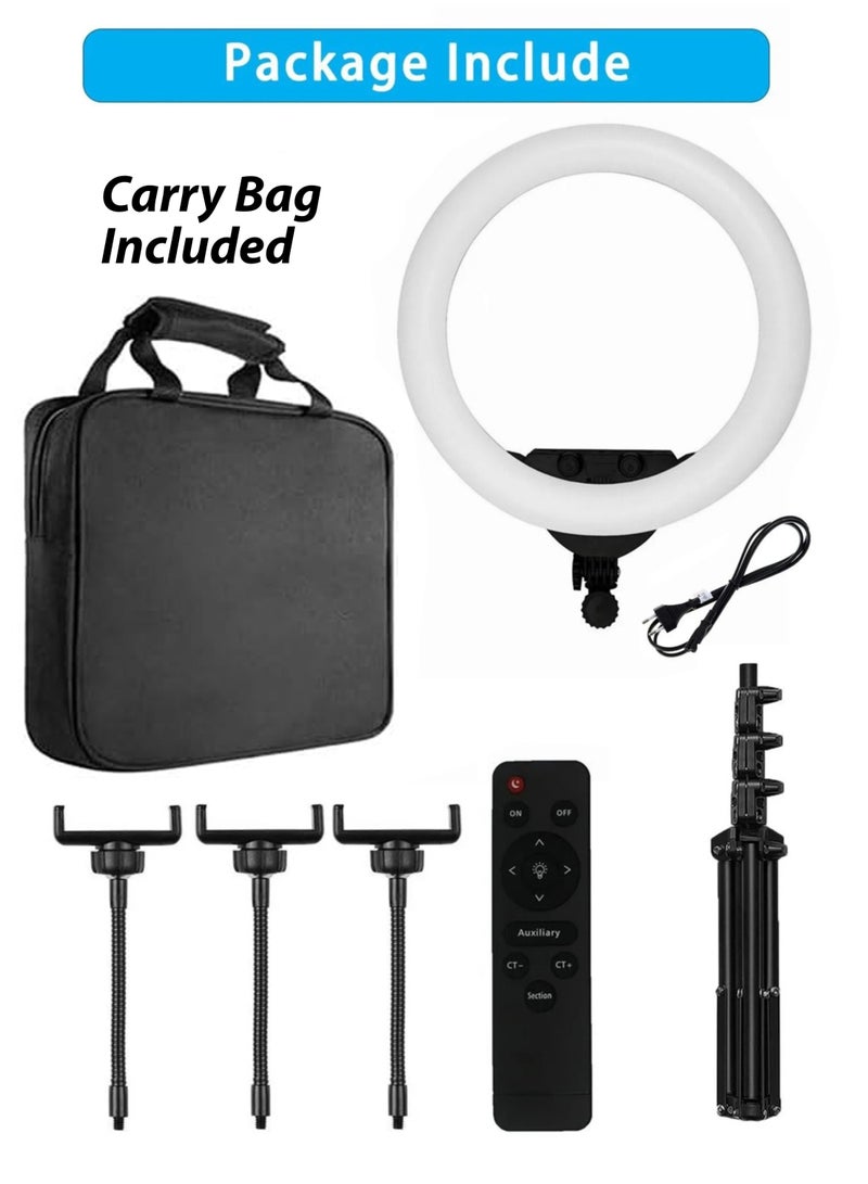 Toshionics - 22 Inch Dimmable Circle LED Studio Selfie Ring Light With 90Inch Tripod Stand Remote And 3 Mobile Phone Holders For Makeup Camera Photography YouTube Video Shoot TikTok Vlog Live Stream With Carry Bag Multicolour - Image 1
