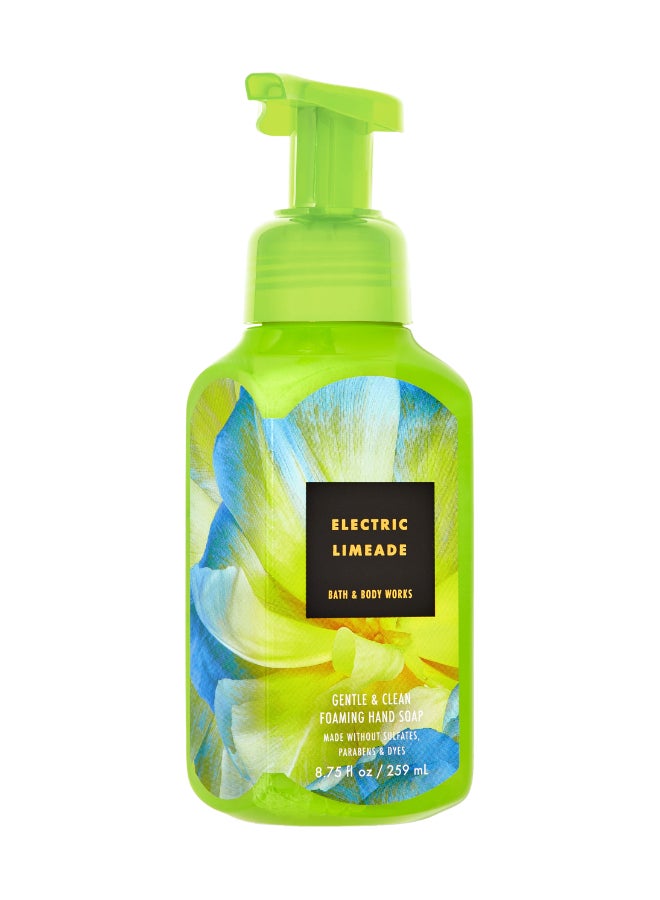 باث آند بودي وركس Electric Limeade Gentle And Clean Foaming Hand Soap 259ml