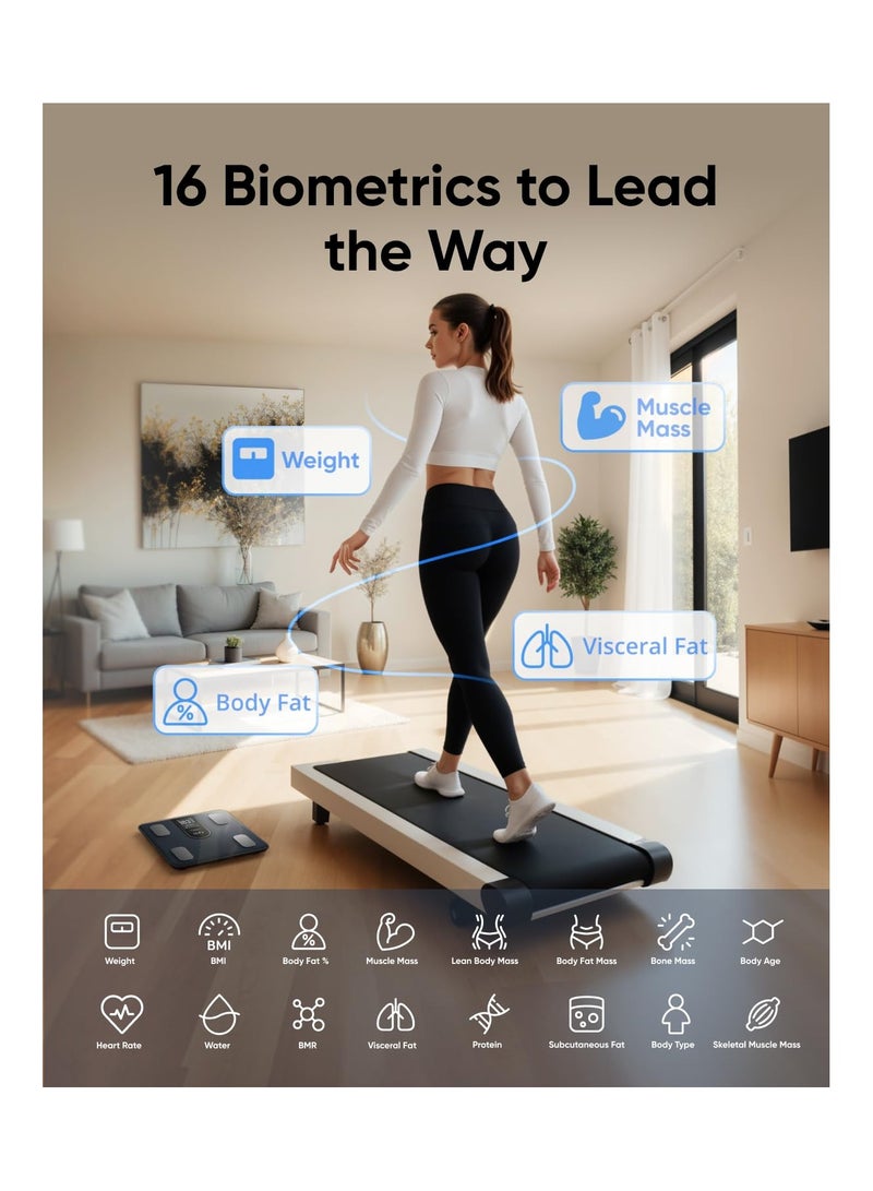 إيوفي ميزان حمام رقمي من eufy لقياس وزن الجسم بشاشة TFT كبيرة، شاشة متعددة الاستخدامات للاستخدام دون اتصال بالإنترنت، بلوتوث، 16 مقياسًا، مؤشر كتلة الجسم، أوضاع متعددة، دقة عالية، ميزان ذكي C20 - Image 4