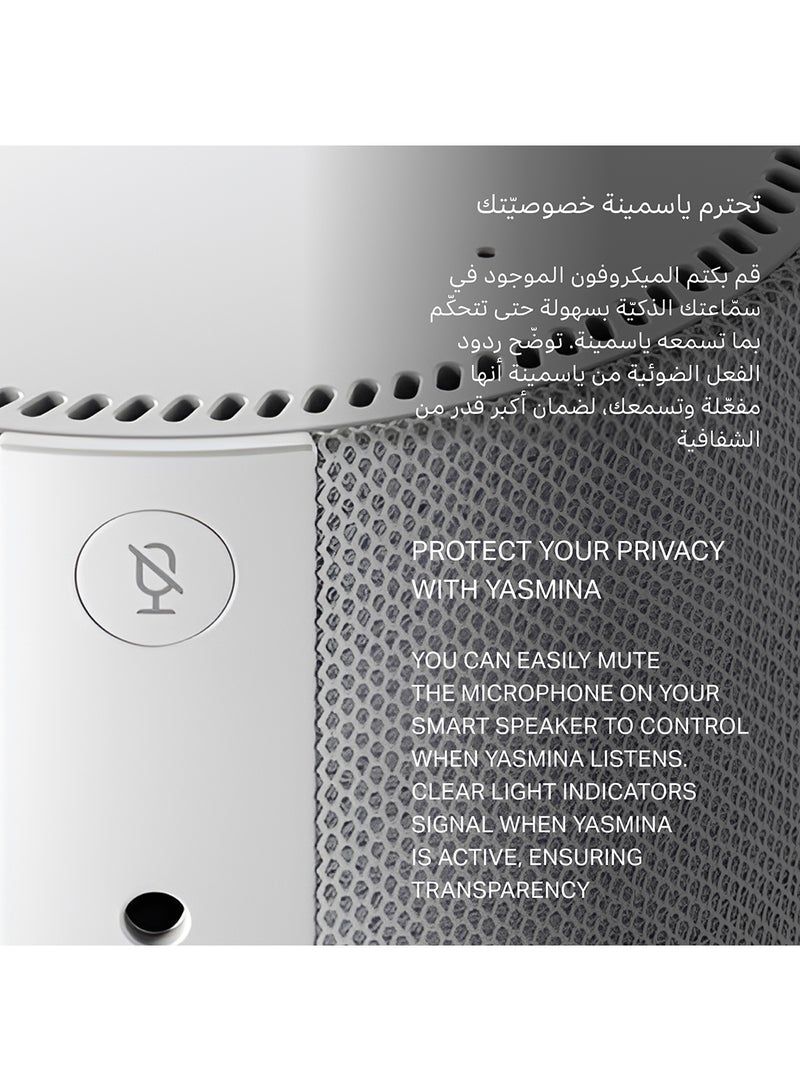 Smart Speaker with Human-Like AI Assistant | Use your voice to control smart home devices via Bluetooth or Wi-Fi, play music, Quran, and more (speaks Arabic, English) | size Mini | Grey - pnsku/N70102221V/45/_/1724760031/c3d50213-ab06-4a8b-89a9-50e76e1a77d1