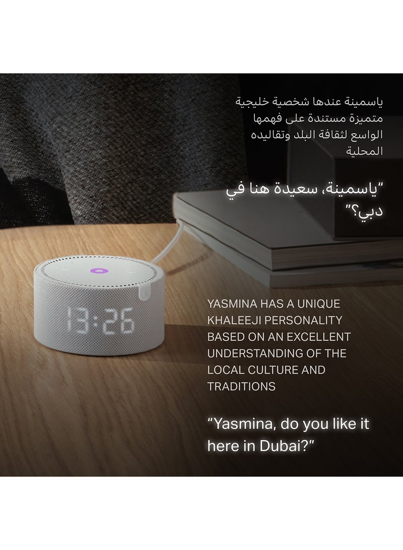 Smart Speaker with Human-Like AI Assistant | Use your voice to control smart home devices via Bluetooth or Wi-Fi, play music, Quran, and more (speaks Arabic, English) | size Mini | Grey - pnsku/N70102221V/45/_/1724760034/9cbbd384-de74-4706-9ba2-55c516a40de9