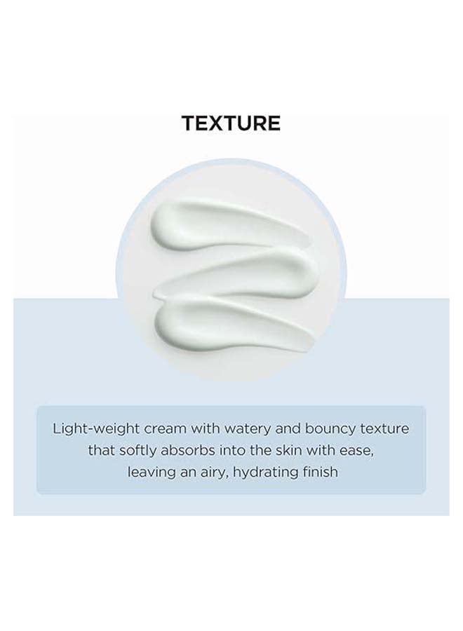 Madagascar Centella Hyalu-Cica Moisture Cream 75ml