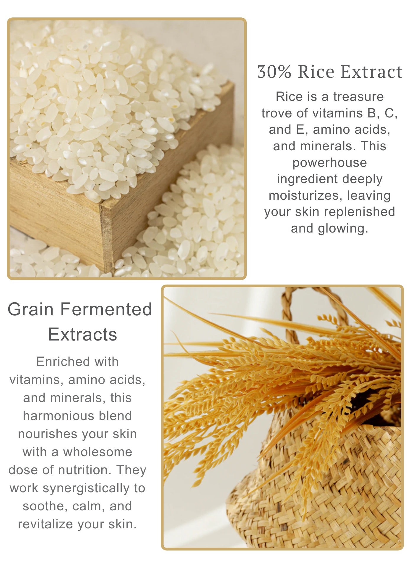 Relief Sun: Rice + Probiotics SPF50+ PA++++ - Advanced Broad Spectrum UV Protection with Skin-Nourishing Rice Extracts and Probiotics for Healthy, Glowing Skin 50ml - https://f.nooncdn.com/p/pnsku/N70102846V/45/_/1724387623/694879d1-2543-4e13-a1e9-d2b290e33a52.jpg?width=original