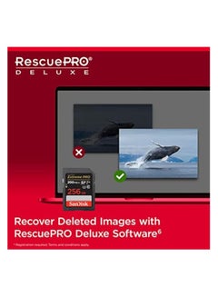 سانديسك Extreme Pro SDXC card + RescuePRO Deluxe, up to 200MB/s, UHS I, Class 10, U3, V30 SDSDXXD 256G GN4IN, Black 256 GB  - Image 3