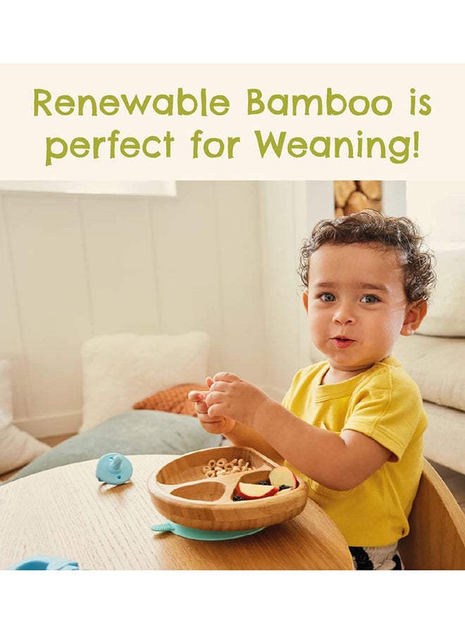 Munchkin - Bambou Divided Plate, 6 Months And Above - Image 1