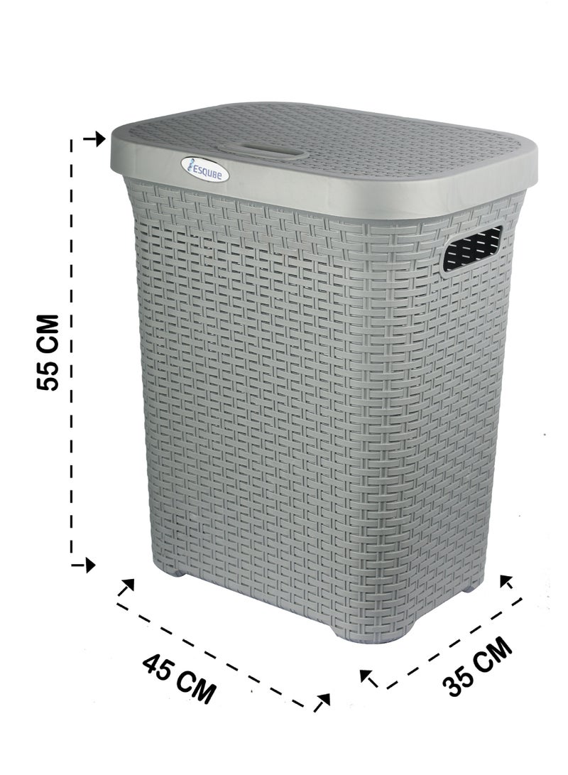 Laundry Basket With Lid Grey 50L Capacity Grey 50Liters - pnsku/N70106433V/45/_/1725442392/c381a13a-b722-4e6b-8cce-20a37e27c671