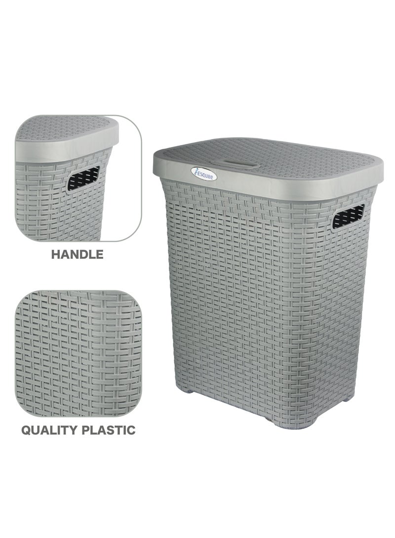 Laundry Basket With Lid Grey 50L Capacity Grey 50Liters - pnsku/N70106433V/45/_/1725442395/9663a190-6347-4c2f-aa11-e1dbe8b55795