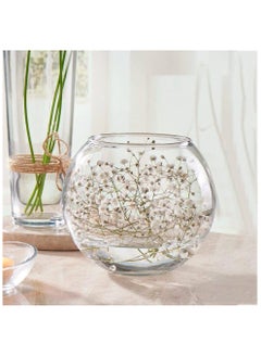 Pasabahce Botanica Glass Vase, Fish Bowl, 160 Mm Height, 125 Mm Diameter  - Image 2