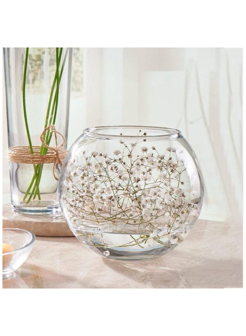 باساباتشي - Botanica Glass Vase, Fish Bowl, 160 Mm Height, 125 Mm Diameter - Image 1