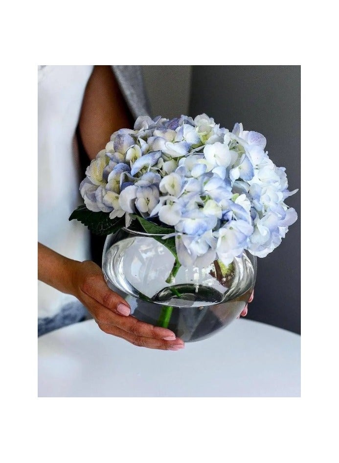 باساباتشي - Botanica Glass Vase, Fish Bowl, 160 Mm Height, 125 Mm Diameter - Image 1