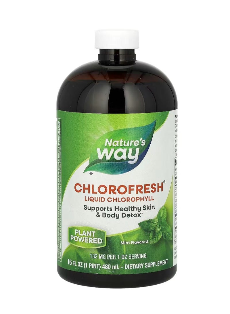 Nature's Way Chlorofresh Liquid Chlorophyll Peppermint 132 mg - 480 ml - Image 1