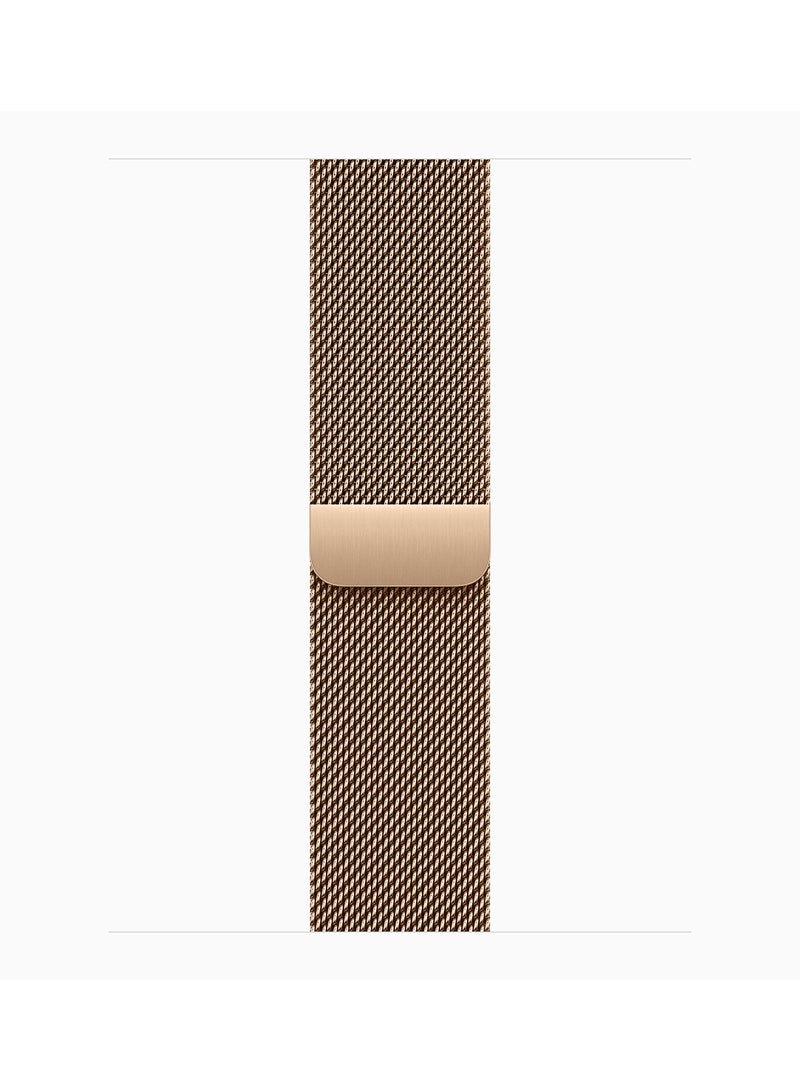 Watch Series 10 GPS + Cellular 42mm Gold Titanium Case With Gold Milanese Loop - pnsku/N70108593V/45/_/1725955649/fe892794-1dff-4929-9a47-281503241bda