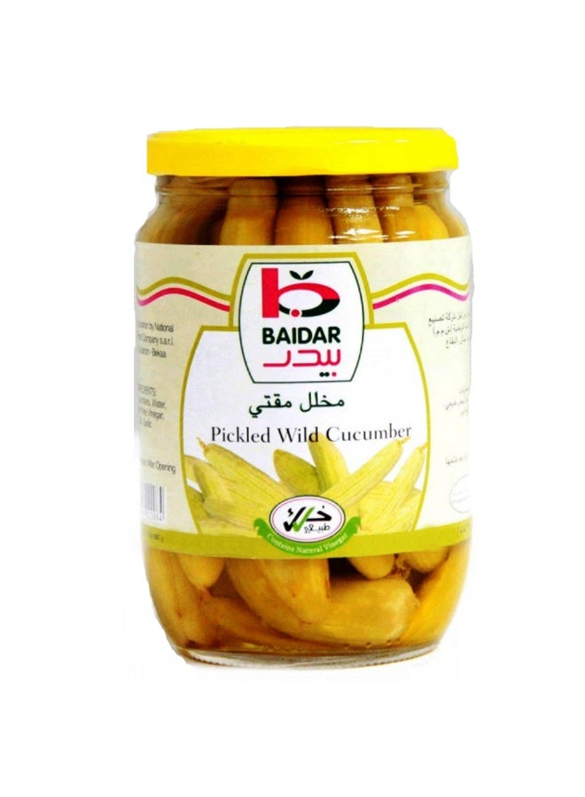 بايدار Baidar Pickled Wild Cucumber, 660g 