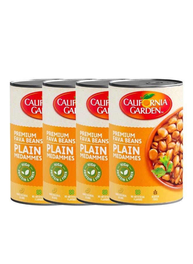 California Garden Plain Masters Foul Medammes , 450gm × 3+1 