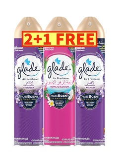 جليد Air Freshener Spray Lavender Scent & Amber Tropical Blossom Scent, 300ml × 3 