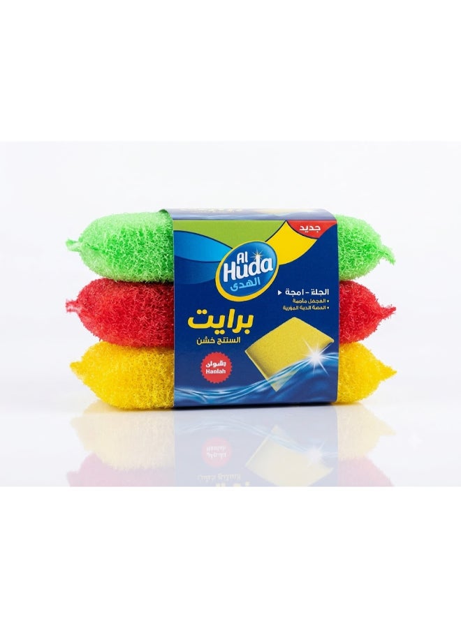 Steel Scourer Sponge 3 Pieces