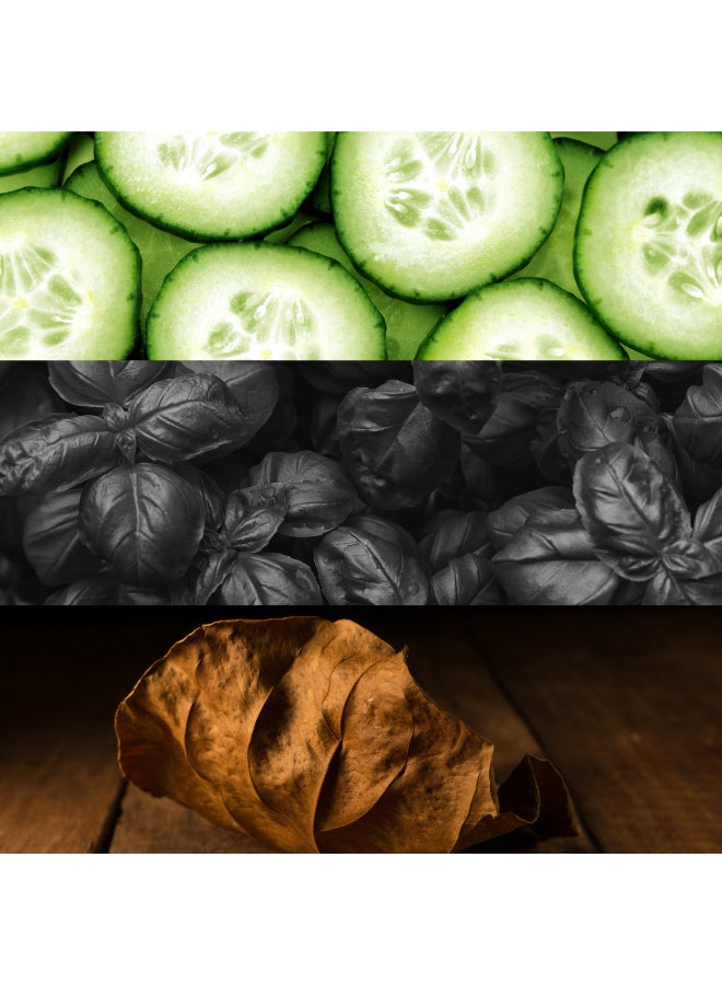 CALVIN KLEIN One ShoEau de Toilette 200ml - Image 4